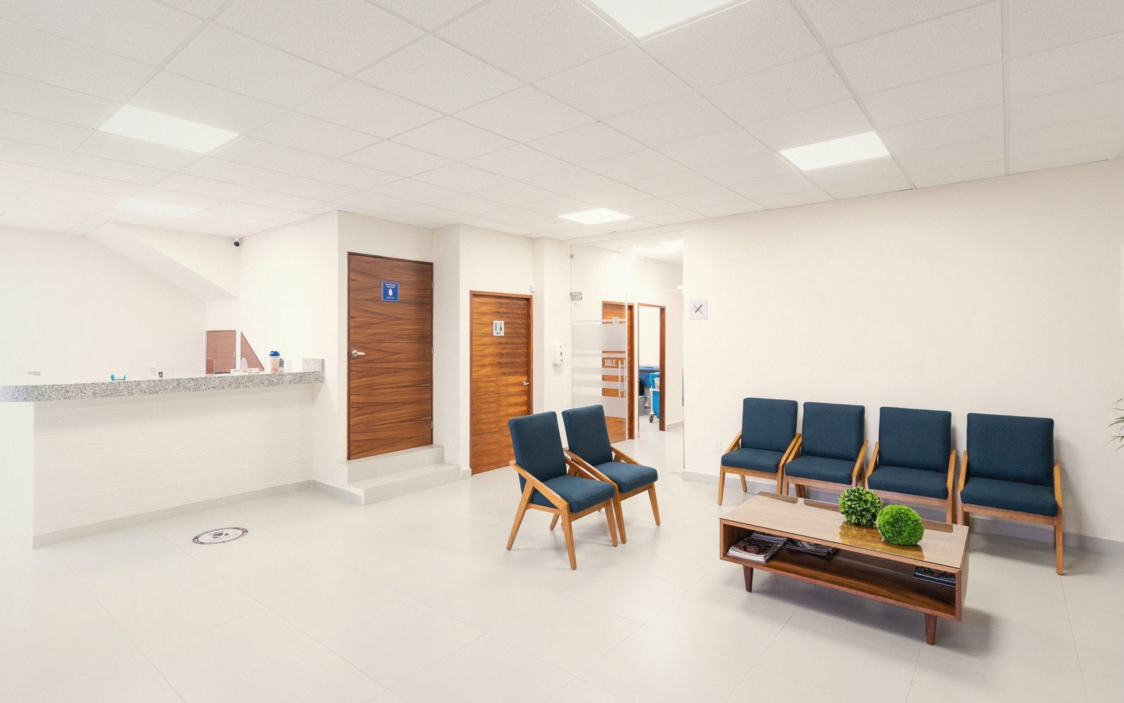 a bright veterinary practice waiting room